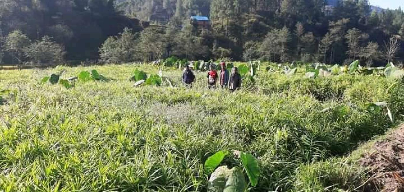 प्रस्तावित कार्यक्रमहरुको लागि फिल्ड अनुगमन कार्य