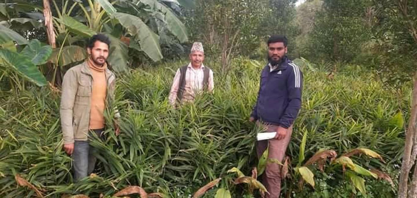 सल्यानमा प्रस्तावित कार्यक्रमहरुको लागि फिल्ड अनुगमन कार्य