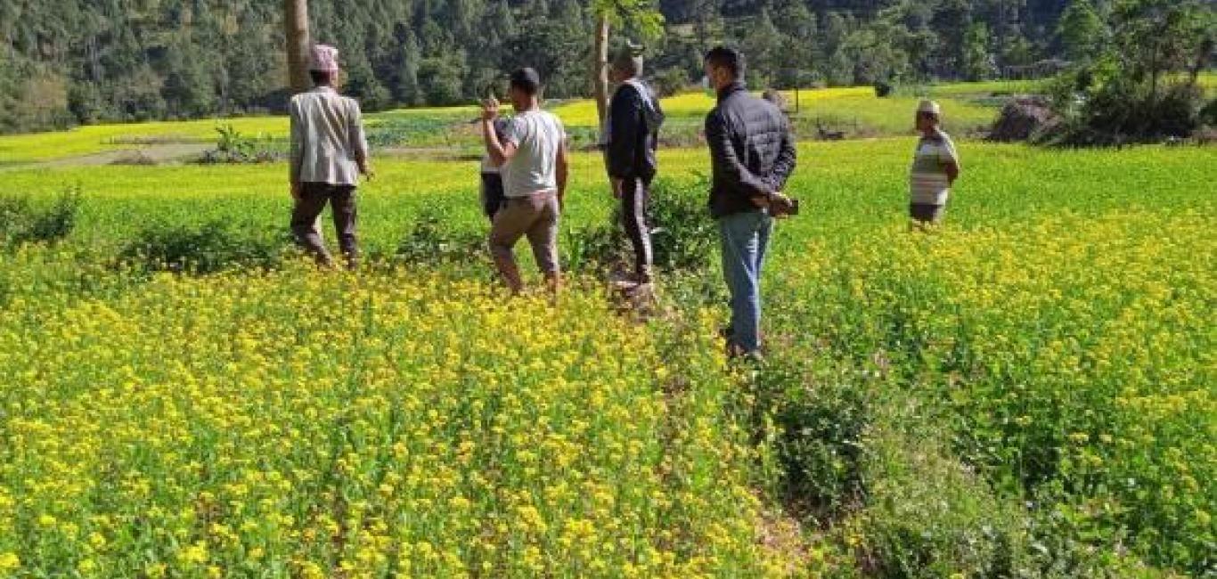 चक्लाबन्दिमा खेती र साना सिचाई कार्यक्रम अनुगमन