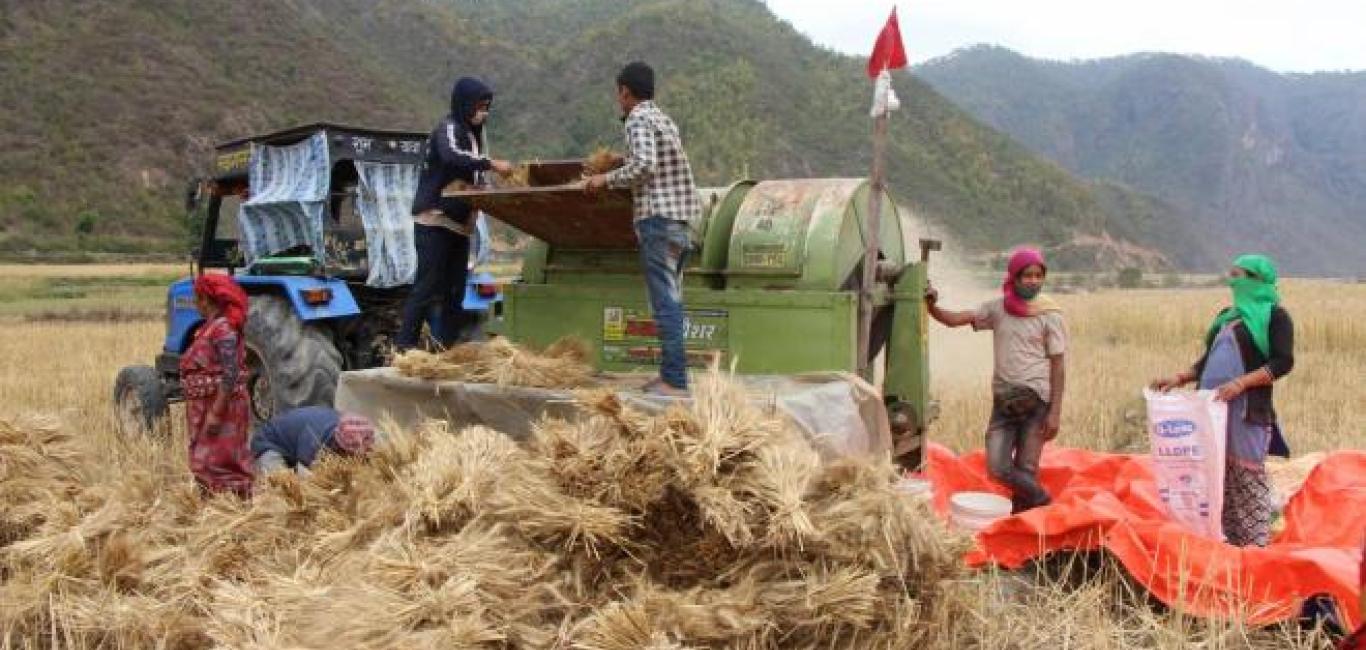 सल्यानका किसान कृषि यान्त्रीकरणमा आकर्षित